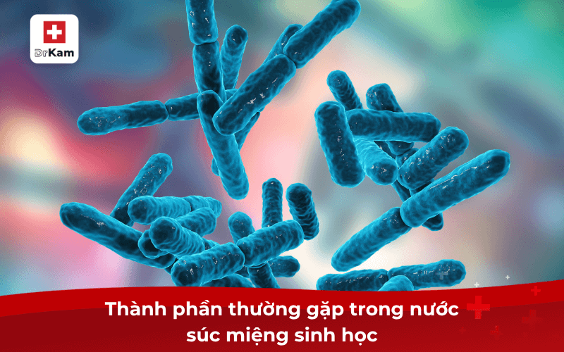 Thành phần thường gặp trong nước súc miệng sinh học