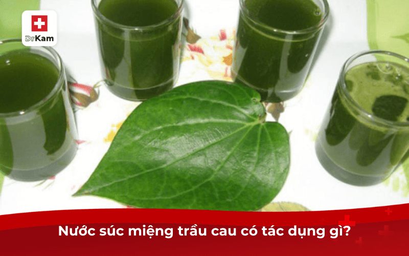 Cách làm nước súc miệng trầu cau hiệu quả tại nhà 6 Nước súc miệng trầu cau có tác dụng gì?