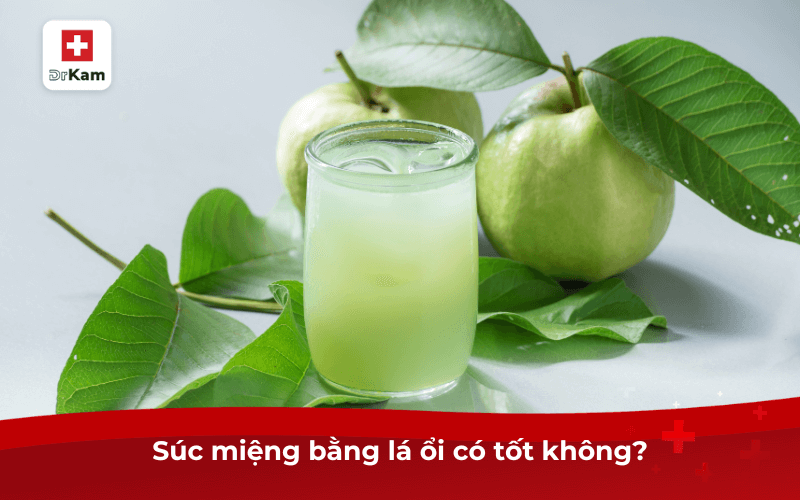 Cách làm nước súc miệng lá ổi đơn giản tại nhà 8 Súc miệng bằng lá ổi có tốt không?