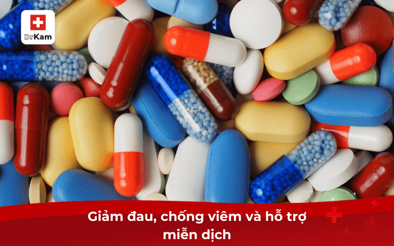 Giảm đau, chống viêm và hỗ trợ miễn dịch