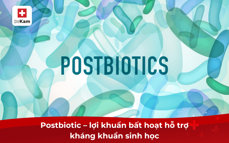 Postbiotic – lợi khuẩn bất hoạt hỗ trợ kháng khuẩn sinh học