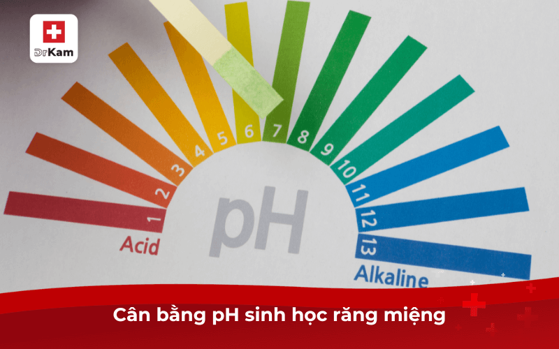 Cân bằng pH sinh học răng miệng