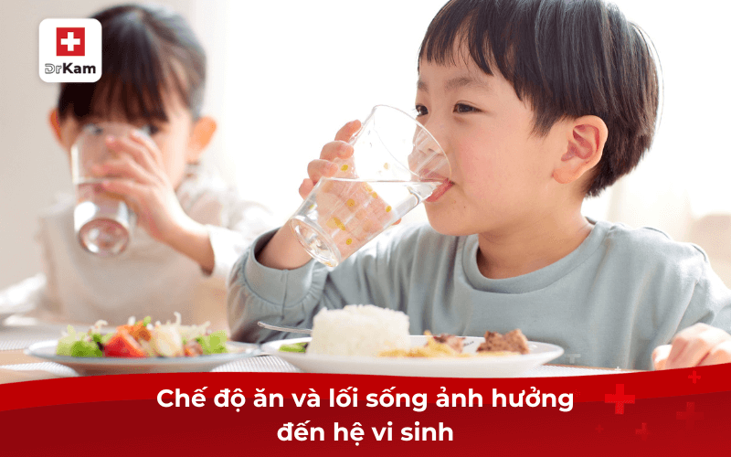 Chế độ ăn và lối sống ảnh hưởng đến hệ vi sinh