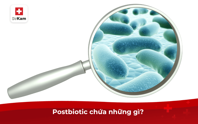 Postbiotic chứa những gì và có công dụng như thế nào? 7 Postbiotic chứa những gì?