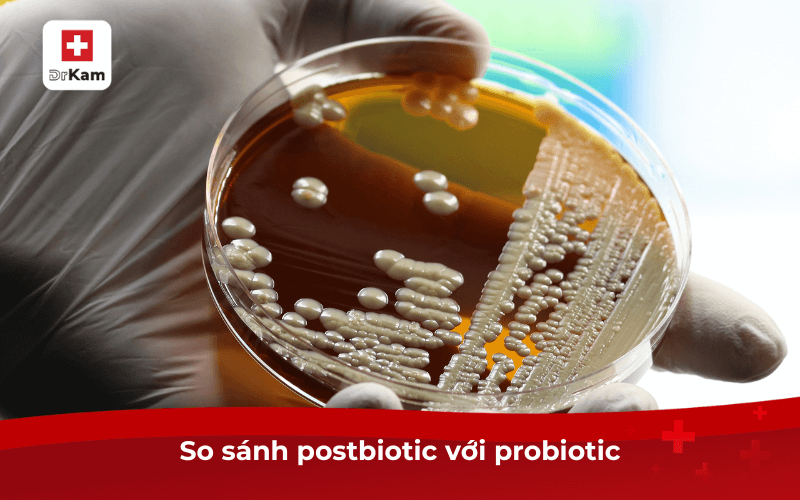 Postbiotic chứa những gì và có công dụng như thế nào? 9 So sánh postbiotic với probiotic