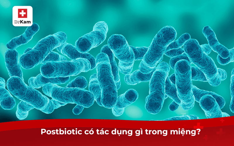 Postbiotic có tác dụng gì trong miệng? Có nên bổ sung không? 6 Postbiotic có tác dụng gì trong miệng?