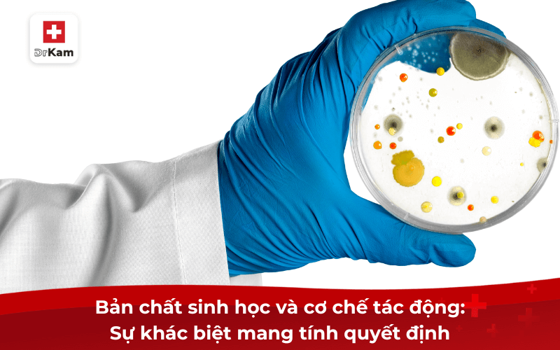 Bản chất sinh học và cơ chế tác động: Sự khác biệt mang tính quyết định