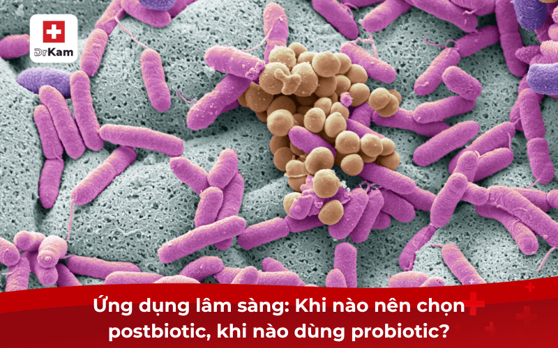 Ứng dụng lâm sàng: Khi nào nên chọn postbiotic, khi nào dùng probiotic?