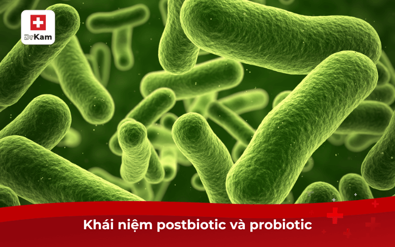 Postbiotic khác gì probiotic?