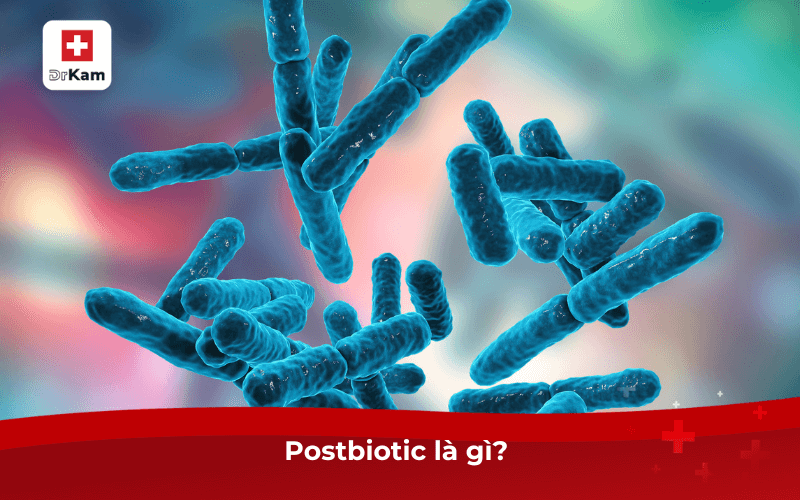 Postbiotic có an toàn không? Có nên bổ sung postbiotic không? 6 Postbiotic là gì?