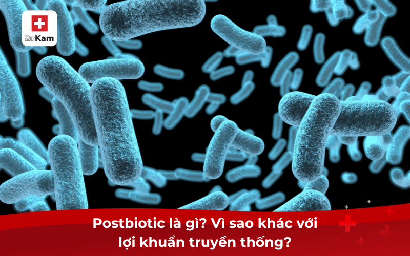 Postbiotic có dùng cho trẻ em được không và dùng liều thế nào? 6 Postbiotic là gì? Vì sao khác với lợi khuẩn truyền thống?