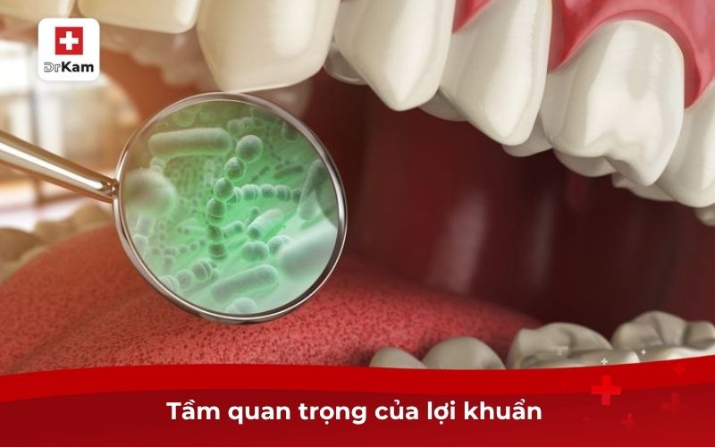 Postbiotic Ngừa Sâu Răng – Giải Pháp Lợi Khuẩn Răng Miệng 6 Tầm quan trọng của postbiotic ngừa sâu răng