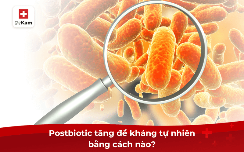 Vai trò của postbiotic cho miễn dịch có thực sự hiệu quả? 7 Postbiotic cho miễn dịch tăng đề kháng tự nhiên bằng cách nào?