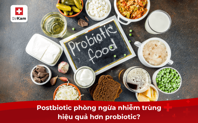 Vai trò của postbiotic cho miễn dịch có thực sự hiệu quả? 8 Postbiotic phòng ngừa nhiễm trùng hiệu quả hơn probiotic?