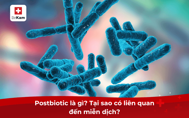 Vai trò của postbiotic cho miễn dịch có thực sự hiệu quả? 6 Postbiotic là gì? Tại sao có liên quan đến miễn dịch?