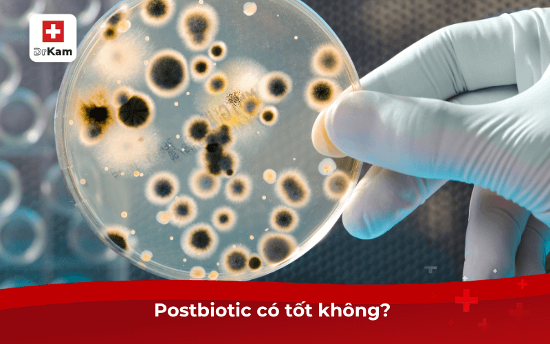Postbiotic có tốt không? 