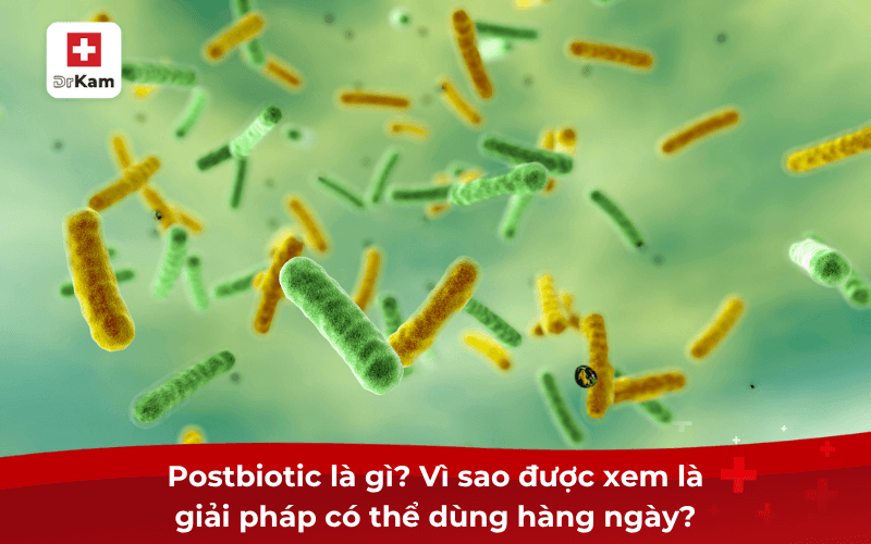 Postbiotic là gì? Vì sao được xem là giải pháp có thể dùng hàng ngày?