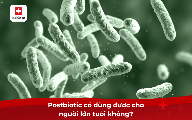 Postbiotic có dùng được cho người lớn tuổi không? Cách dùng 7 Postbiotic có dùng được cho người lớn tuổi không?