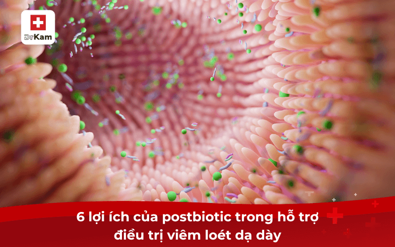 Nên sử dụng postbiotic cho người bị viêm loét dạ dày không? 8 6 lợi ích của postbiotic trong hỗ trợ điều trị viêm loét dạ dày