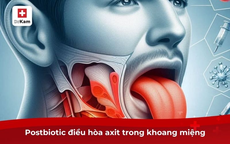 Postbiotic Ngừa Sâu Răng – Giải Pháp Lợi Khuẩn Răng Miệng 9 Postbiotic điều hòa axit trong khoang miệng
