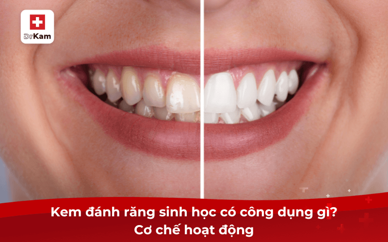 Kem đánh răng sinh học là gì? Có công dụng gì? 7 Kem đánh răng sinh học có công dụng gì? Cơ chế hoạt động