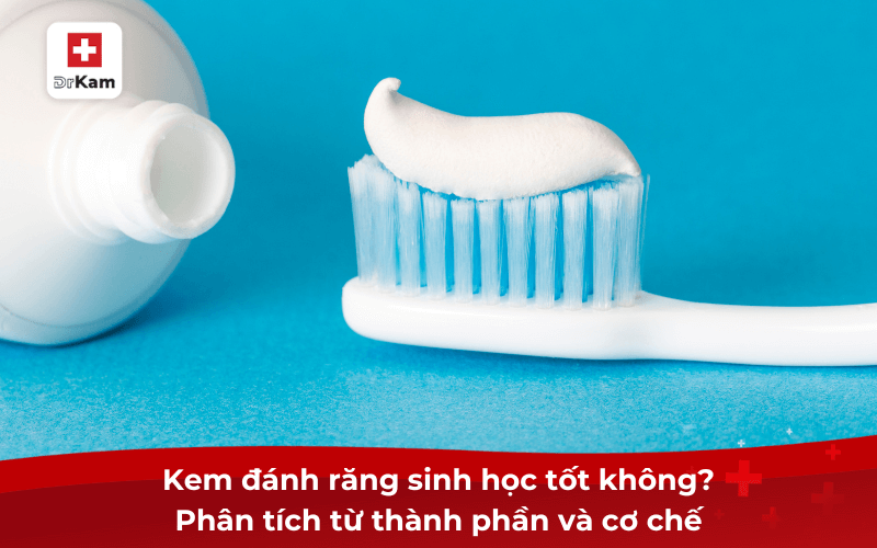 Kem đánh răng sinh học tốt không? Cách sử dụng đúng 6 Kem đánh răng sinh học tốt không? Phân tích từ thành phần và cơ chế