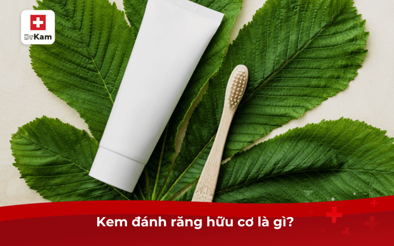 Top 8 kem đánh răng hữu cơ tốt nhất hiện nay 6 Kem đánh răng hữu cơ là gì?