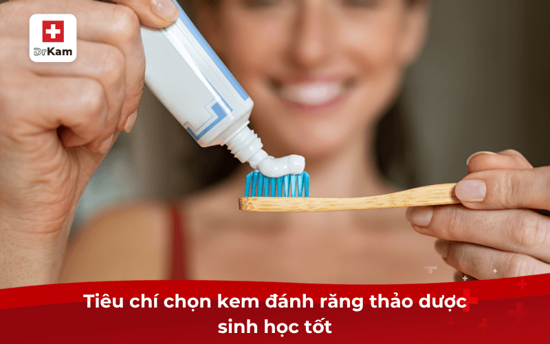 Top 3 kem đánh răng thảo dược sinh học tốt nhất hiện nay 7 Tiêu chí chọn kem đánh răng thảo dược sinh học tốt
