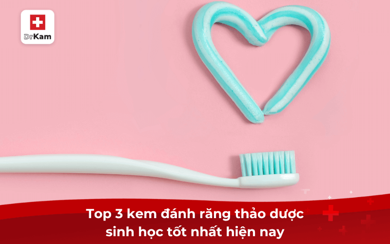 Top 3 kem đánh răng thảo dược sinh học tốt nhất hiện nay 8 Top 3 kem đánh răng thảo dược sinh học tốt nhất hiện nay