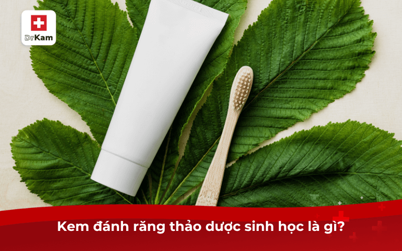 Top 3 kem đánh răng thảo dược sinh học tốt nhất hiện nay 6 Kem đánh răng thảo dược sinh học là gì?