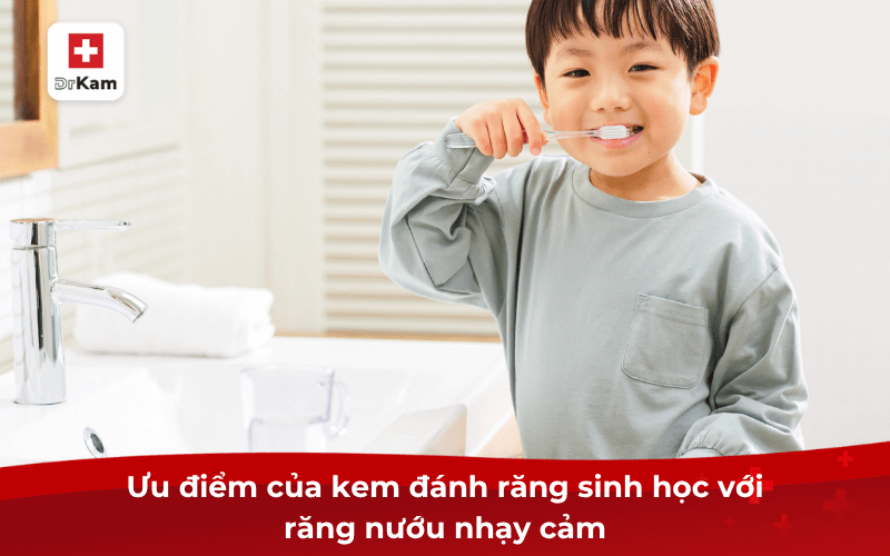 Tìm hiểu kem đánh răng sinh học có khác gì thông thường 7 Ưu điểm của kem đánh răng sinh học với răng nướu nhạy cảm