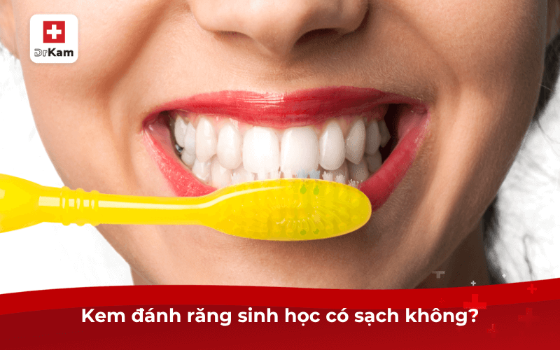 Đánh răng bằng kem đánh răng sinh học có sạch không? 7 Kem đánh răng sinh học có sạch không?