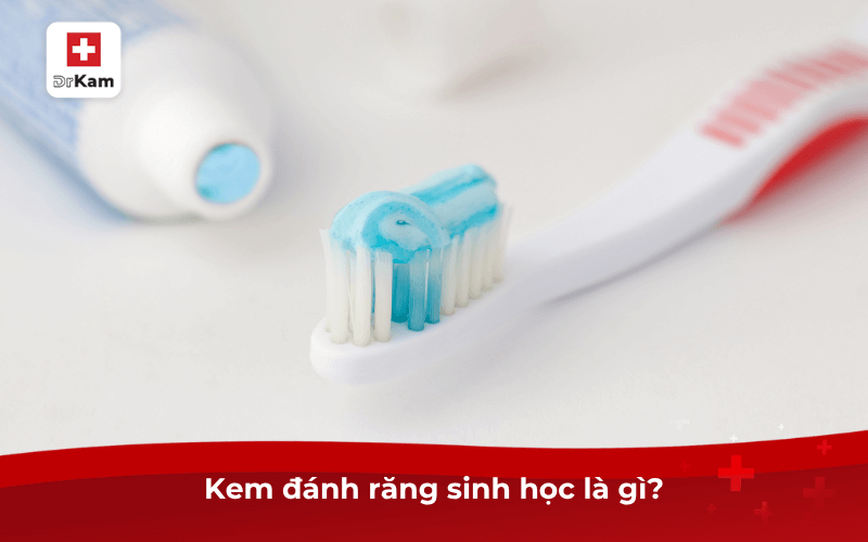 Đánh răng bằng kem đánh răng sinh học có sạch không? 6 Kem đánh răng sinh học là gì?