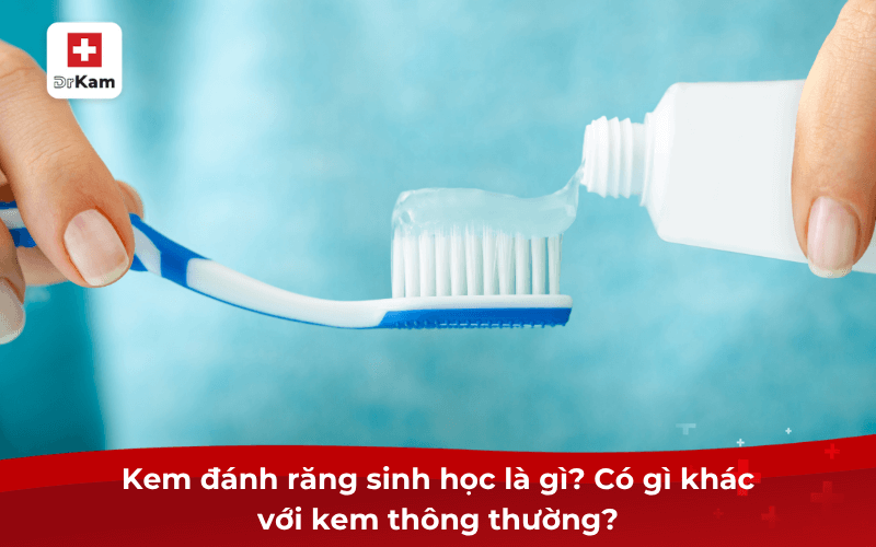 Có nên dùng kem đánh răng sinh học hằng ngày hay không? 6 Kem đánh răng sinh học là gì? Có gì khác với kem thông thường?