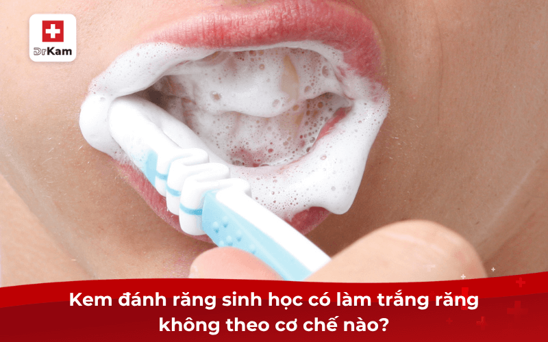 Giải đáp: Kem đánh răng sinh học có làm trắng răng không? 7 Kem đánh răng sinh học có làm trắng răng không theo cơ chế nào?