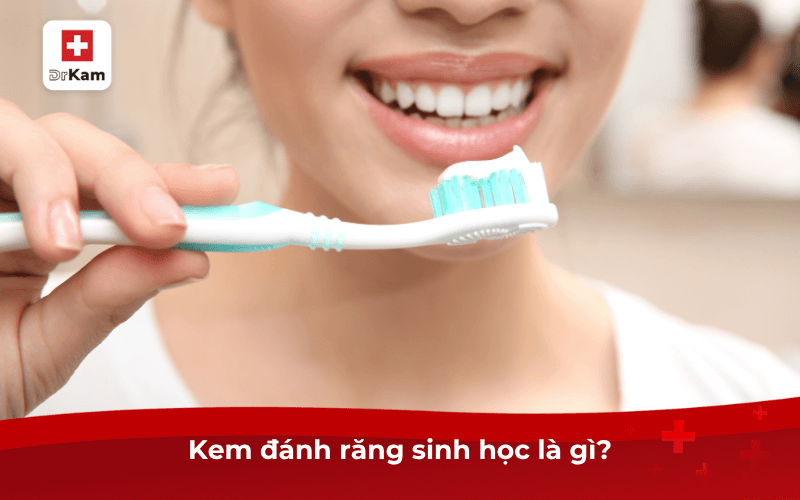 Giải đáp: Kem đánh răng sinh học có làm trắng răng không? 6 Kem đánh răng sinh học là gì?