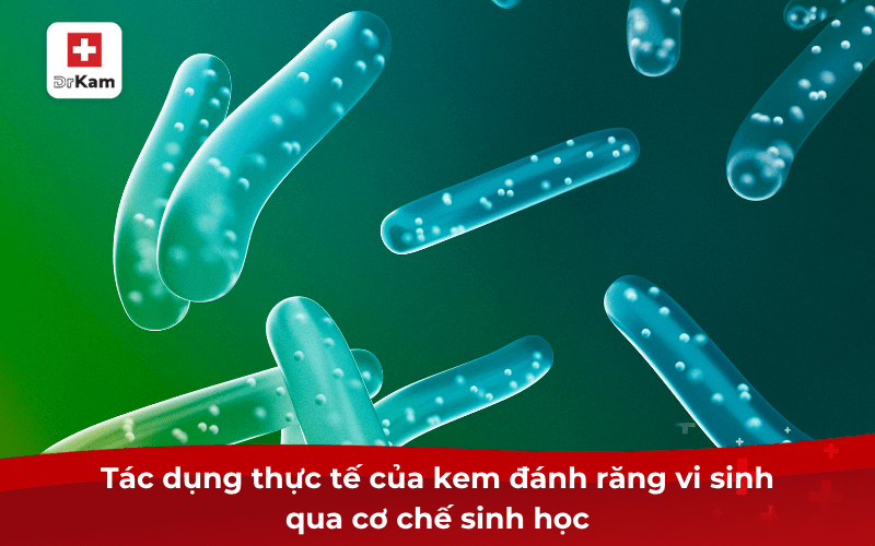 Kem đánh răng vi sinh là gì? Vì sao nên sử dụng? 8 Tác dụng thực tế của kem đánh răng vi sinh qua cơ chế sinh học