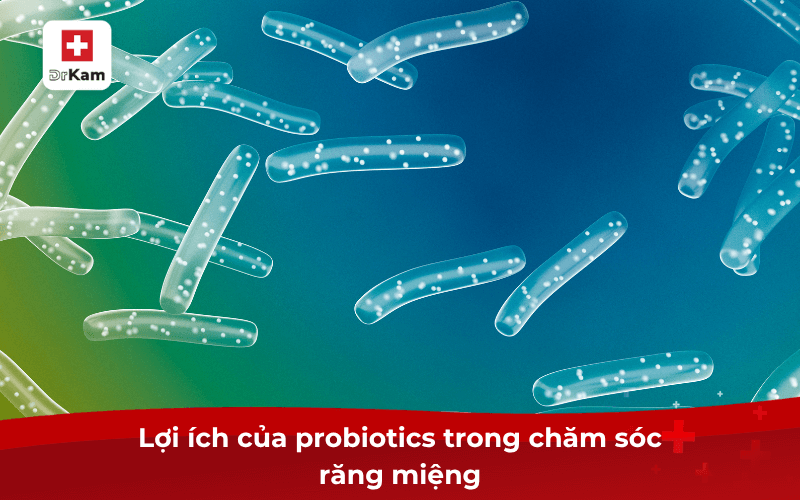 Kem đánh răng chứa probiotics là gì? Có nên dùng mỗi ngày? 7 Lợi ích của probiotics trong chăm sóc răng miệng