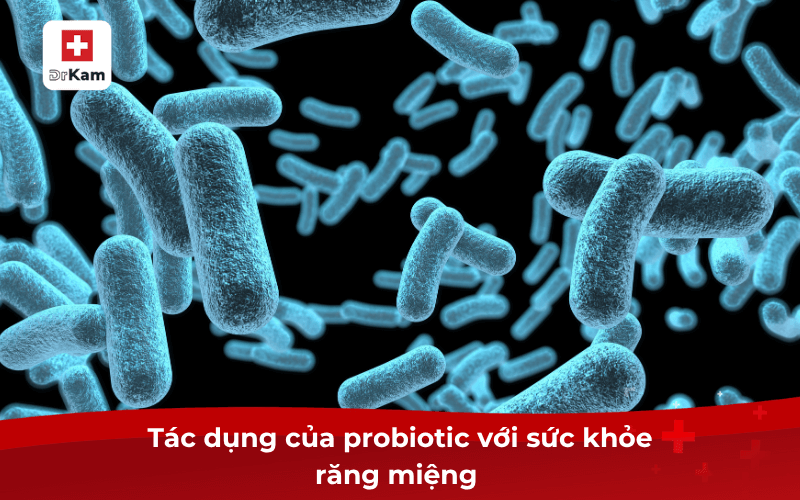 Tác dụng của probiotic với sức khỏe răng miệng 