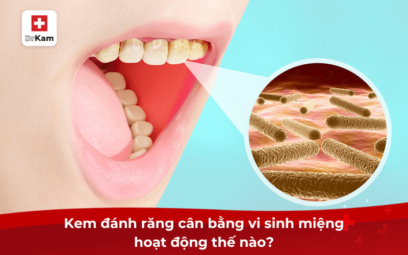Kem đánh răng cân bằng vi sinh miệng cho răng miệng nhạy cảm 6 Kem đánh răng cân bằng vi sinh miệng hoạt động thế nào?