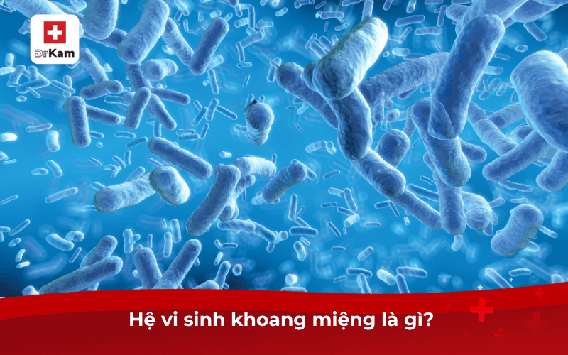 Công dụng của kem đánh răng phục hồi hệ sinh thái miệng? 6 Hệ vi sinh khoang miệng là gì?