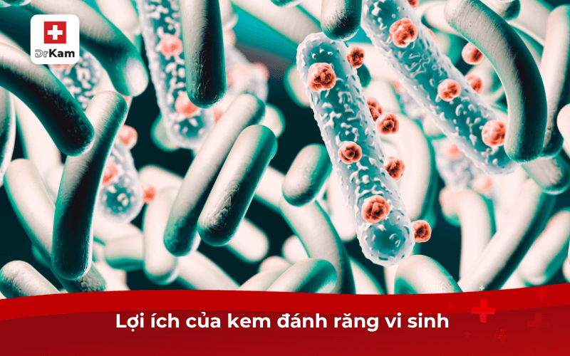 Giải đáp: Có nên dùng kem đánh răng vi sinh không? 8 Lợi ích của kem đánh răng vi sinh