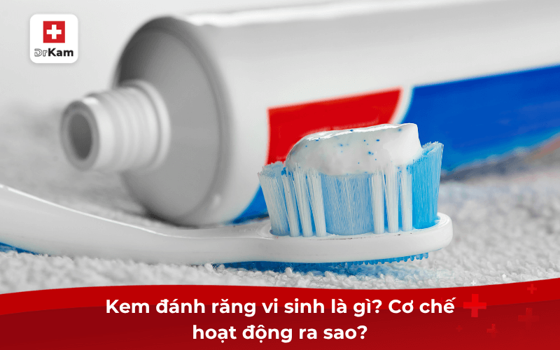 Giải đáp: Có nên dùng kem đánh răng vi sinh không? 7 Kem đánh răng vi sinh là gì? Cơ chế hoạt động ra sao?