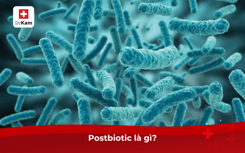 Tìm hiểu postbiotic là gì? Ứng dụng trong chăm sóc sức khỏe 7 Postbiotic là gì?
