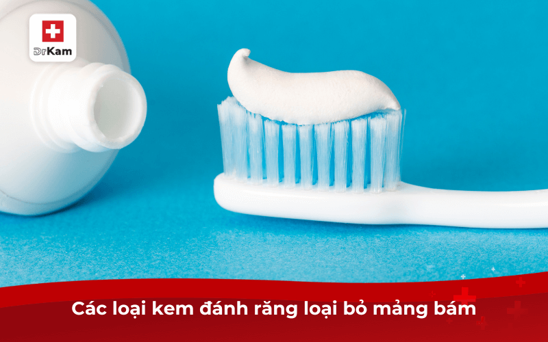 Top 3 kem đánh răng sạch mảng bám hiệu quả và 5 lưu ý 8 Các loại kem đánh răng loại bỏ mảng bám
