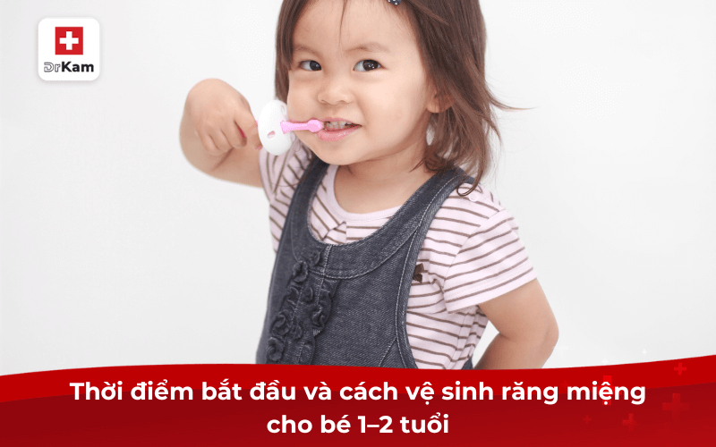 Thời điểm bắt đầu và cách vệ sinh răng miệng cho bé 1–2 tuổi