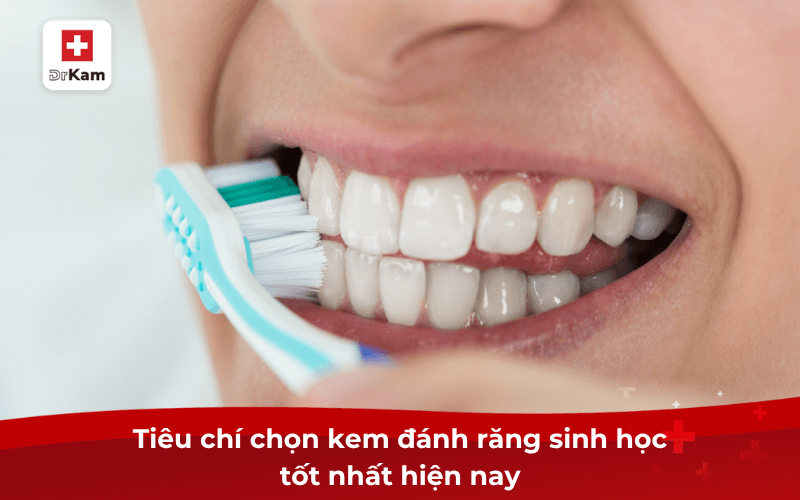 Top kem đánh răng sinh học nào tốt nhất hiện nay 8 Tiêu chí chọn kem đánh răng sinh học tốt nhất hiện nay
