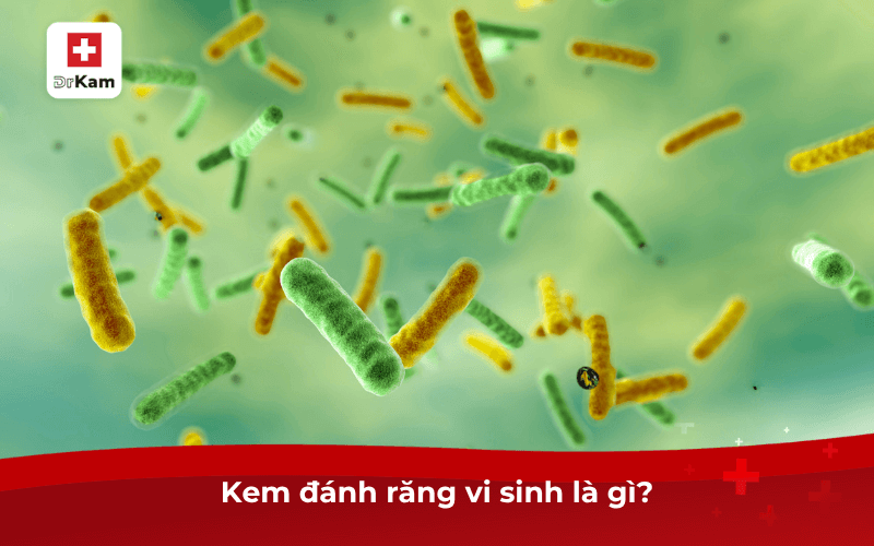Review kem đánh răng vi sinh hiệu quả an toàn nhất hiện nay 6 Kem đánh răng vi sinh là gì?
