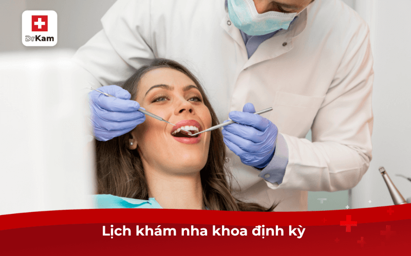 Lịch khám nha khoa định kỳ 