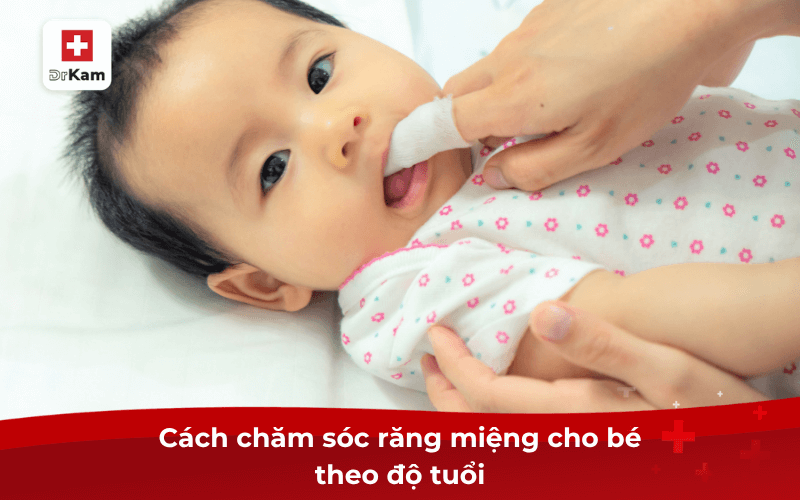 Hướng dẫn chăm sóc răng miệng cho bé theo độ tuổi 8 Cách chăm sóc răng miệng cho bé theo độ tuổi
